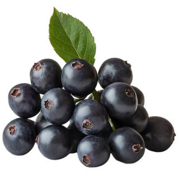 Maqui Berry