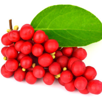 Schisandra